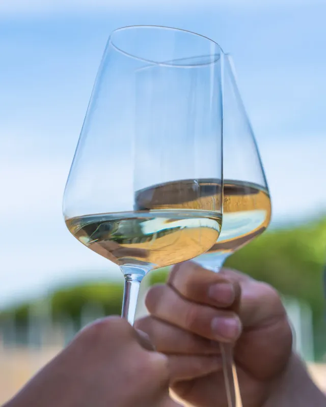 Fjord Wein gavekort vin oplevelse digital