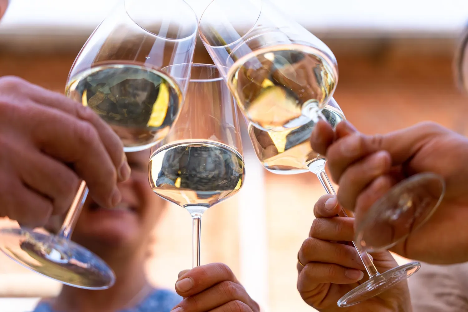 Fjord Wein rundvisning vinsmagning mark
