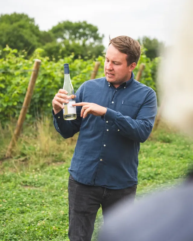 Fjord Wein Führung gavekort 25 euro vinrundvisning
