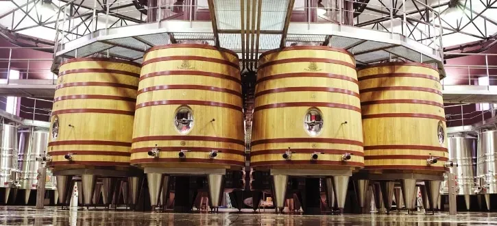Château Malartic-Lagravière Classic Visit vinsmagning 2 vine