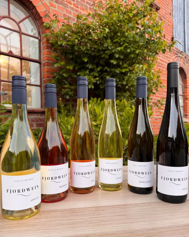 Fjord Wein Entdeckungslust vinpakke 6 flasker blandet