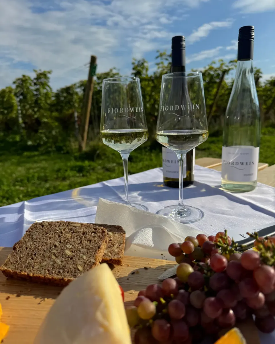 Fjord Wein Picknick picnickurv for 2 med 2 vine