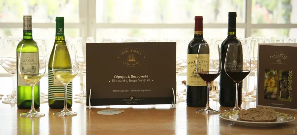 Malartic Cépages Découverte vinsmagning 4 vine
