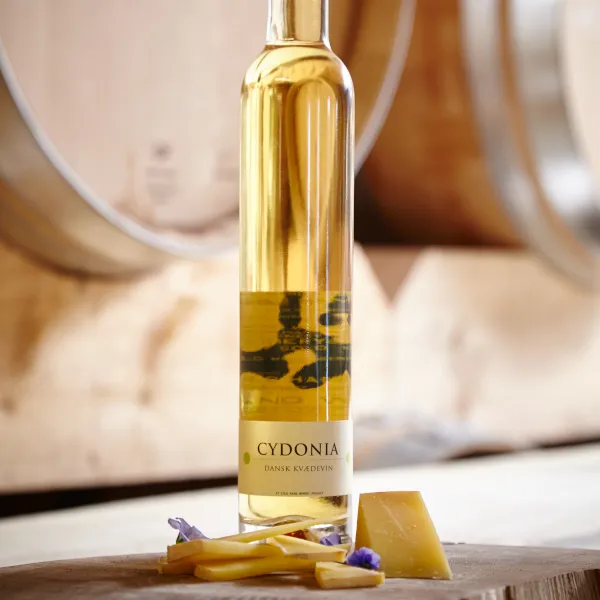 Cold Hand Winery Cydonia kvædevin aromatisk 2018