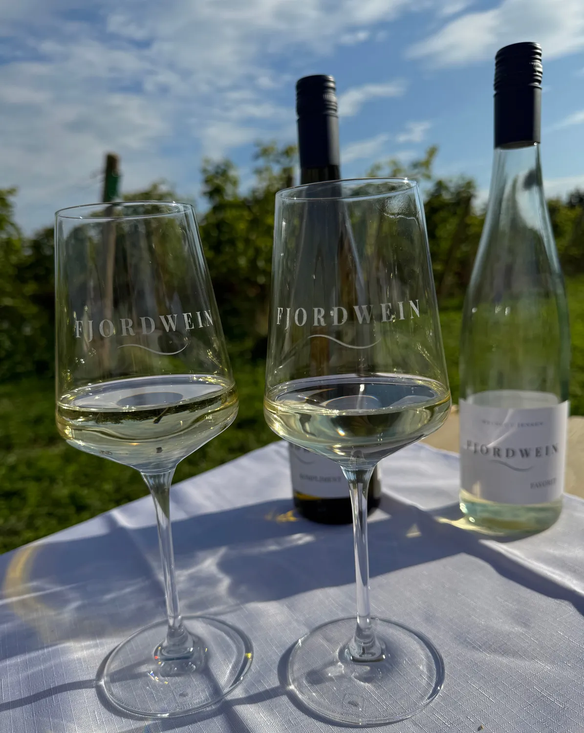 Fjord Wein Picknick picnickurv for 2 med 2 vine