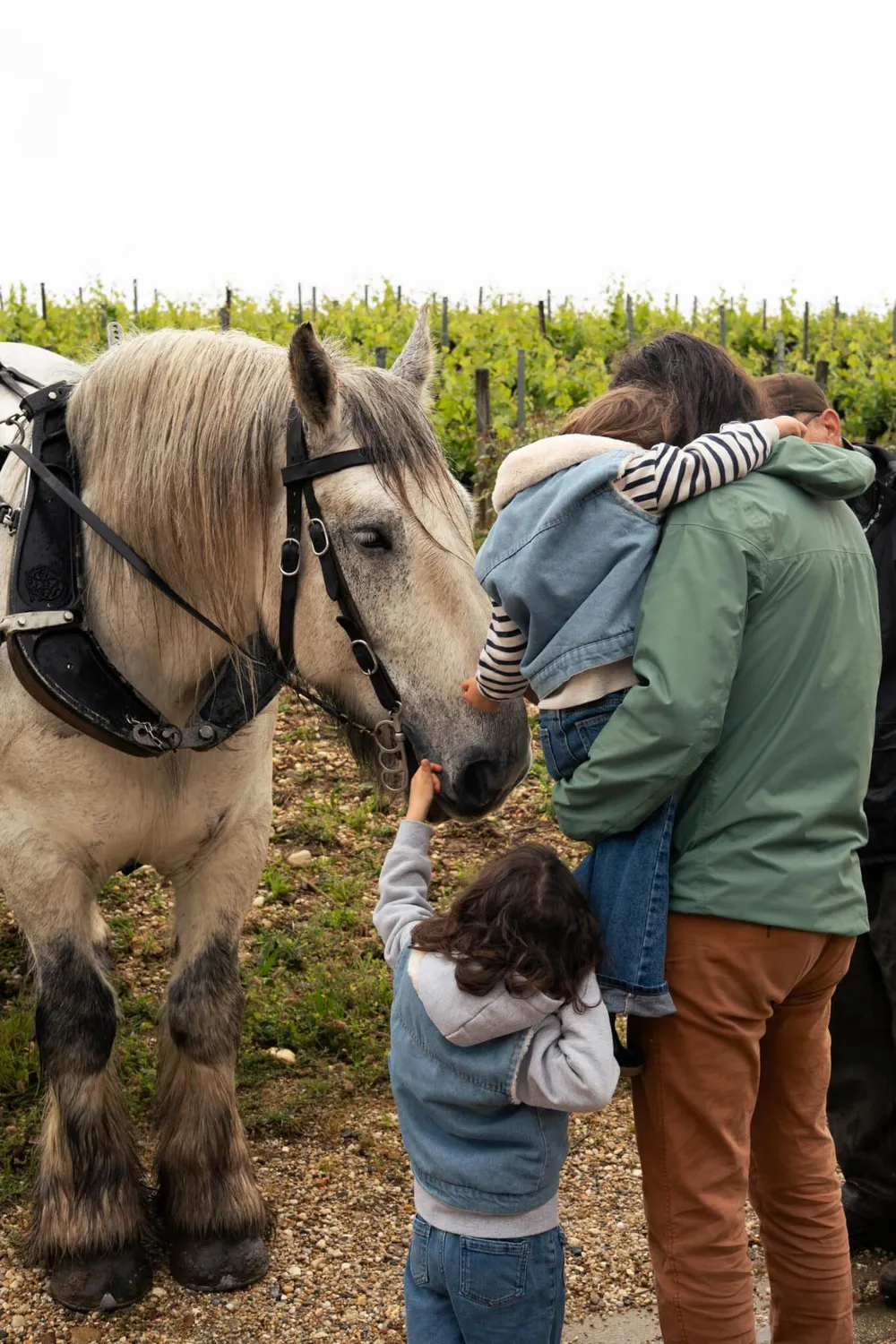 Château Malartic-Lagravière Family familiebesøg